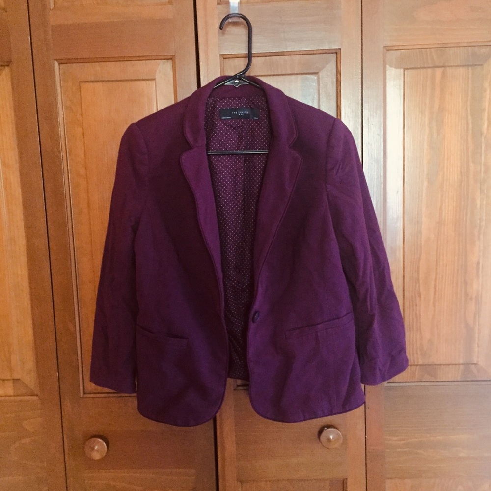 The Limited Blazer Medium